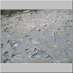 100_0744 (2009-27-07).JPG